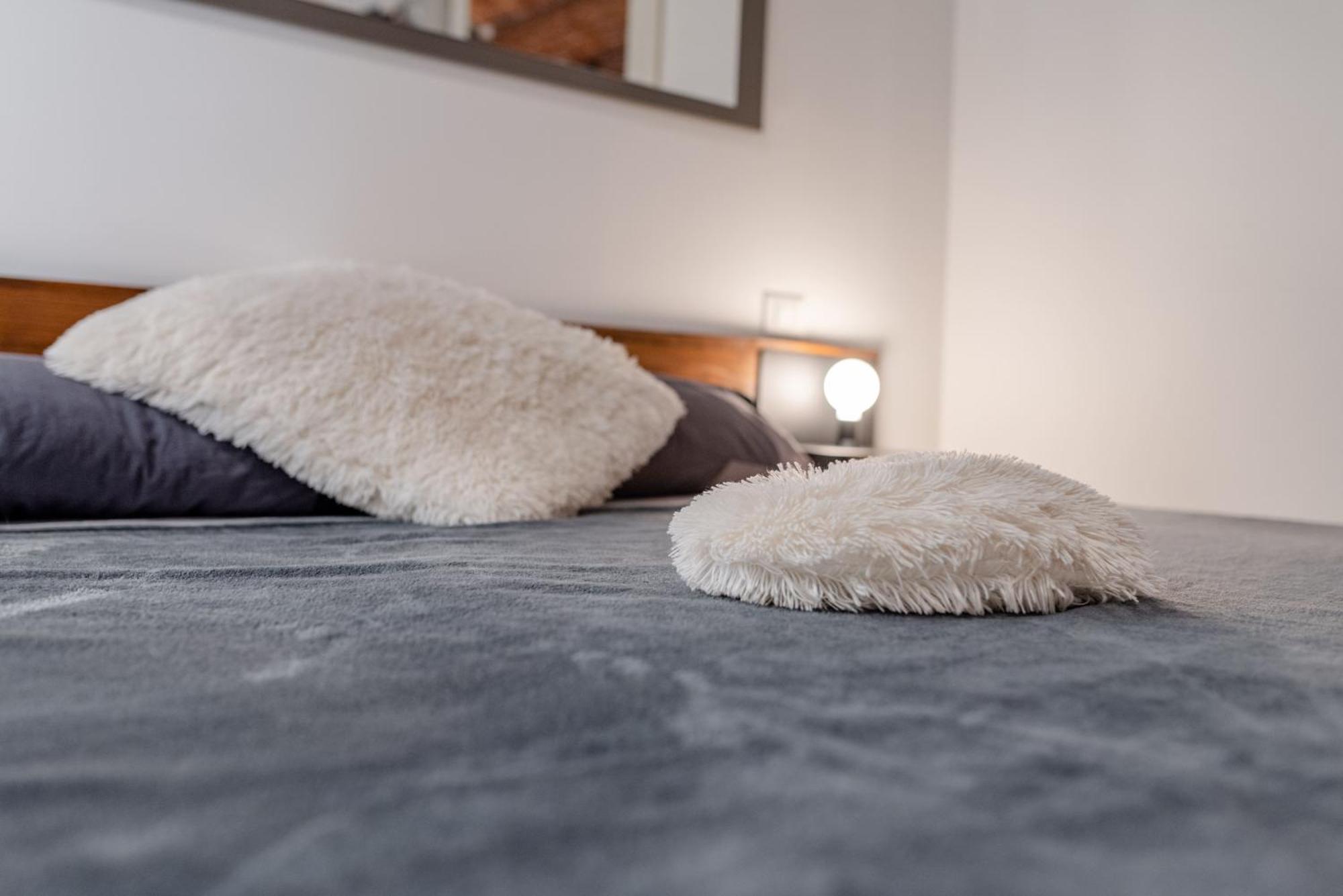 Suite & Queen Apartments Torino Kültér fotó
